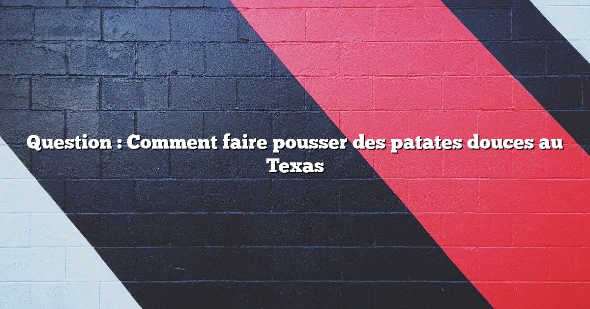 Question : Comment faire pousser des patates douces au Texas
